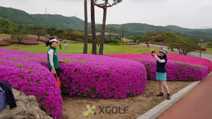 [��õ�Ƶ��Ͻ�] �̿��ı�