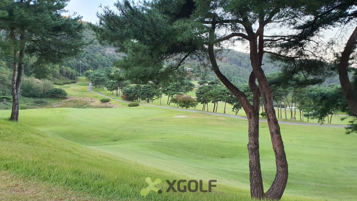 [����TPC] �̿��ı�