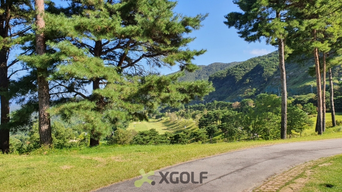 [����TPC] �̿��ı�