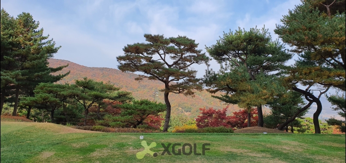 [�ȼ�] �̿��ı�