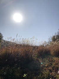 [�����췱] �̿��ı�
