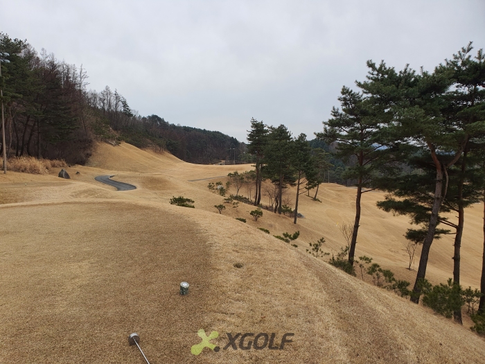 [��������] �̿��ı�