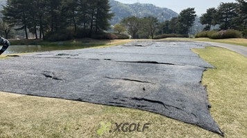 [����TPC] �̿��ı�