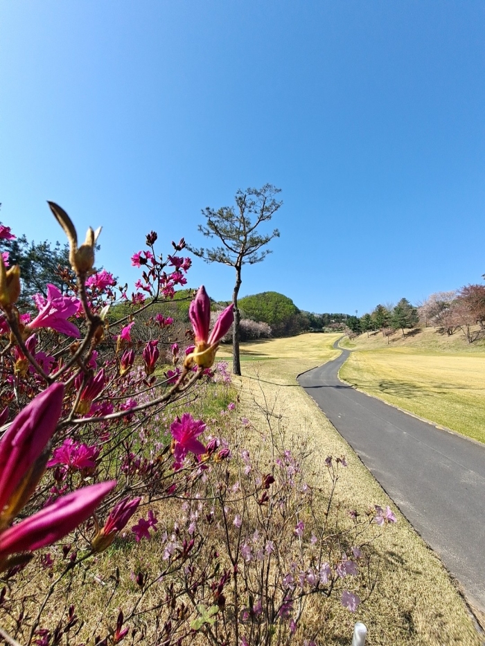 [����] �̿��ı�