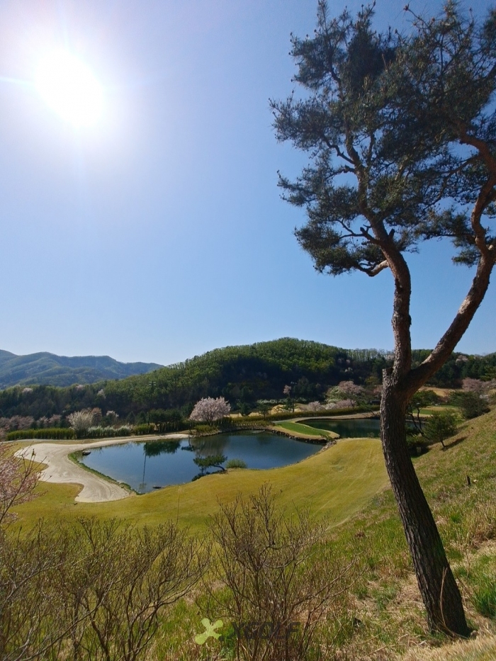 [����] �̿��ı�