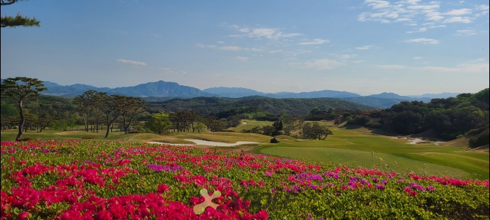 [��õ�Ƶ��Ͻ�] �̿��ı�