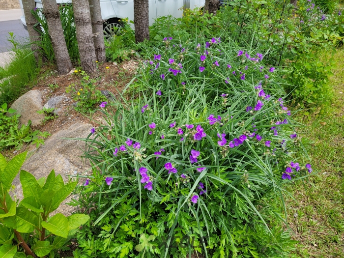 [����TPC] �̿��ı�