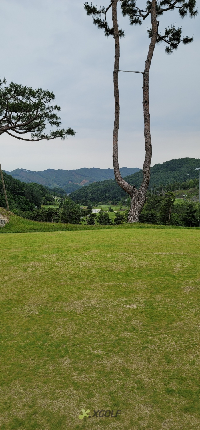 [�뿵����] �̿��ı�