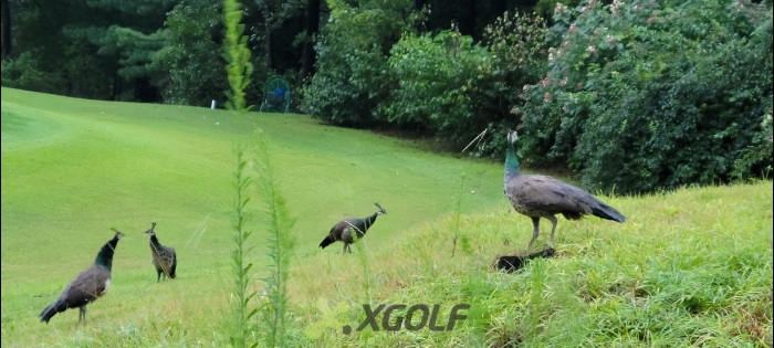 [88] �̿��ı�