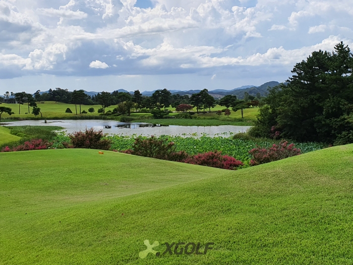 [������ݰ�] �̿��ı�