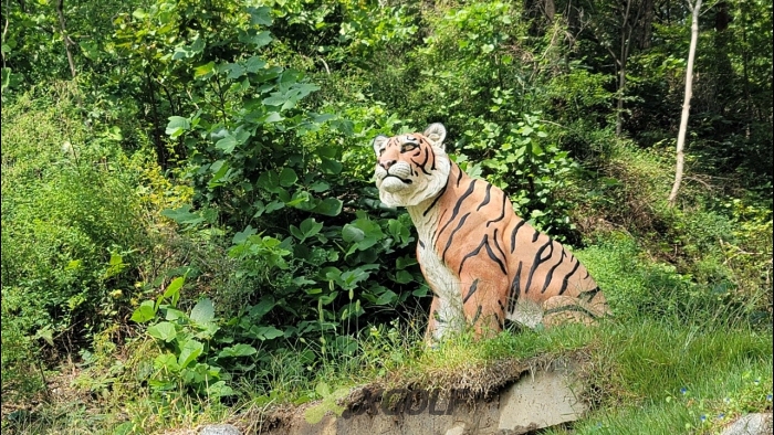 [ŷ���] �̿��ı�