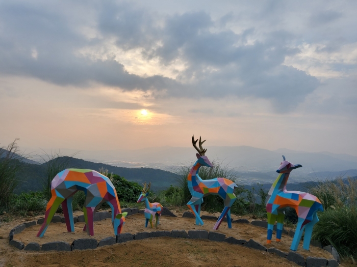 [���߶�] �̿��ı�