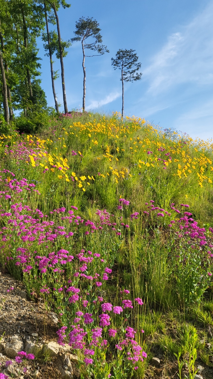 [��ũ] �̿��ı�