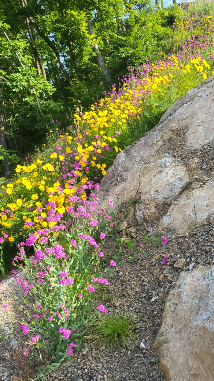 [��ũ] �̿��ı�