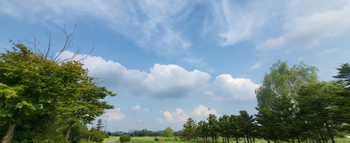 [��Ʈ����] �̿��ı�