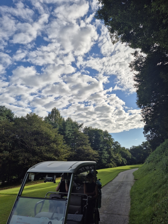 [���ڸ���] �̿��ı�