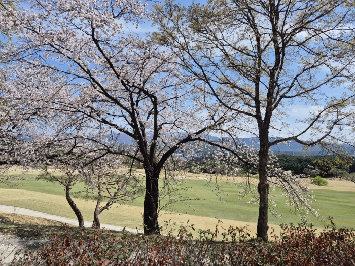 [�󵥳�] �̿��ı�