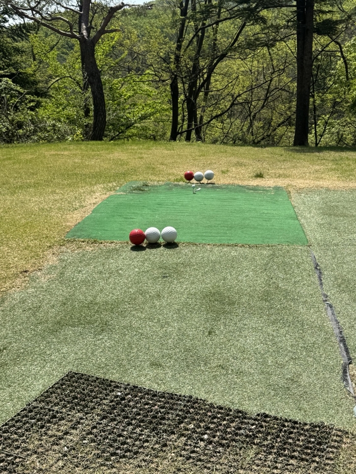 [������] �̿��ı�