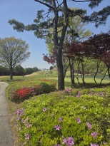 �ʹ� �Ƹ��ٿ� ���忡�� ��ſ� �׵��̿����ϴ�