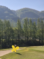 �ϼ��ڽ� �̿�
���� ���׽�Ʈ �ϴ� ������ 