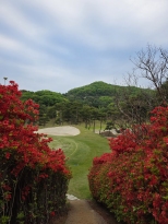 ö���� �� ���ڳ׿�
�ڽ��� ������...