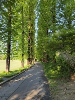 ������� �����ߵ� ��ǰ �ۺ����Դϴ�   �׸�