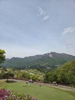 �ʹ� �����ϴ� �ڽ� �ܵ� �׸� �Ϲ��� Ÿ����