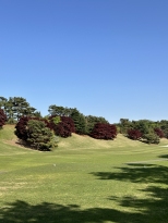 Ƽ�ڽ� �Ϻ� 5Ȧ���� ��Ʈ
������ ���´�