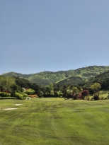 ���� �� �� ���� �������̳׿�...