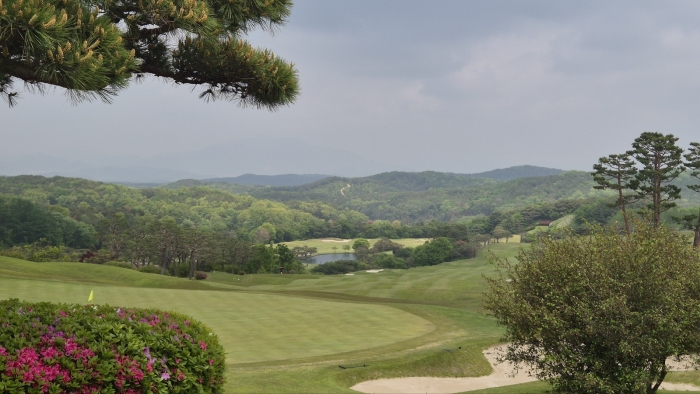 [��õ�Ƶ��Ͻ�] �̿��ı�