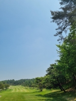 ������ �� ���Ҵ���.
�����ڽ�~
ĳ�����