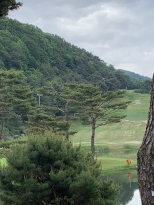 ������  �����Դϴ�

�����  �ܵ� 