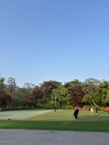 ���⺸�� ���� ������ ����:  ���￡�� 30