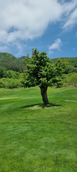 �ʷ��ʷ��� �ܵ�� ����� ���� �ʷ����� ����