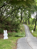 ���ڽ� �߰��� ���ǵ� �ְ�
�����Ҿ��...