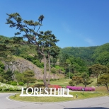 �ܵ����. �׸����� �� ��ȣ�մϴ�.
ĳ���