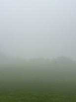 �ü�������ϰ� ���ļ��� .ĳ�𼭺�.�ڽ���