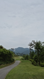 ������� ���ɺ� ��� ���� �����Դϴ�....