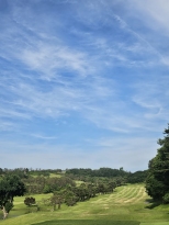 �ɵ�� ������ ���̾ȳ��µ� ��ûģ���Ͻð� ��