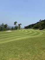 �����ǰ� �־� ���� ������ �ڽ� & �׸� ��