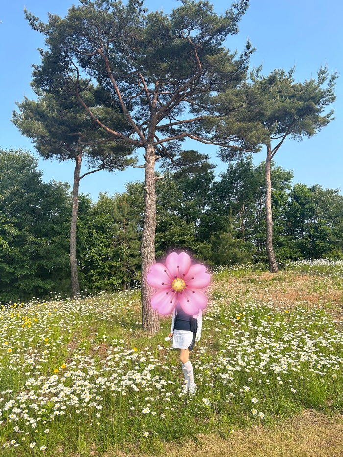 [] �̿��ı�