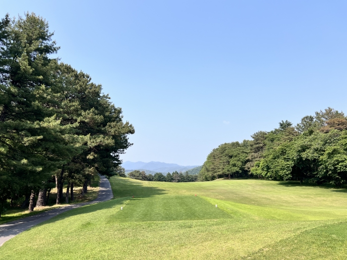 [���ڸ���] �̿��ı�