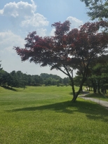 �������� ����ӵ��� ���ݴ� ��������...