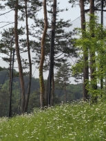 ģ���� ĳ��� ^^
���� �� �׸���
ȯ��