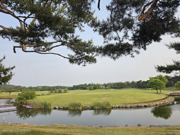 [���߶�] �̿��ı�