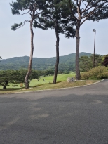 �ָ��� ������ �ְ� �ٳ�Խ��ϴ�
�����̰�