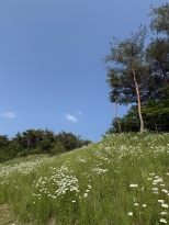 ���ڽü��� ���� �ڽ��� ��ձ���
���� Ȳ��