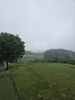 ��̰� ġ�ٿԾ�� �Ĺ� �״��� ��Ⱑ �� ��