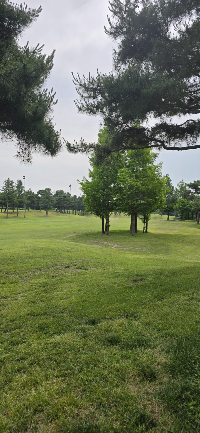 [���丮����ũ] �̿��ı�