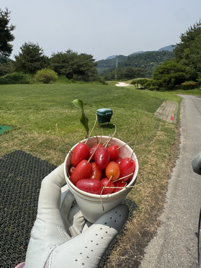 [������ƾ�븮] �̿��ı�